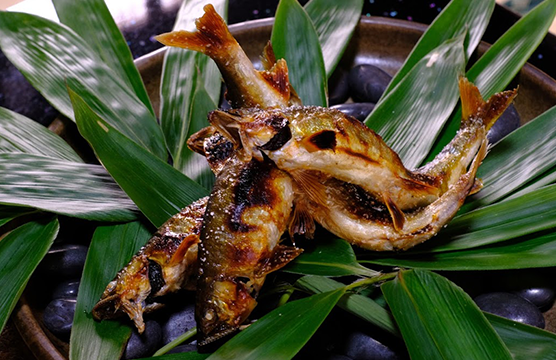 割烹美加登家鮎の塩焼き