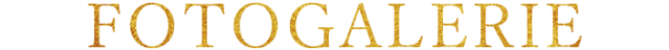 FOTOGALERIE